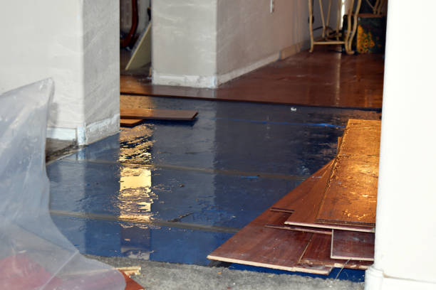 Professional Water Damage Restoration technician working in Bohemia, NY